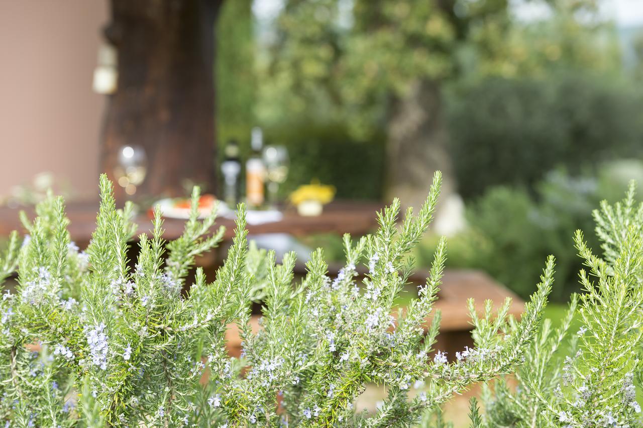 Agriturismo Poggio Corbello La Pesta Kültér fotó