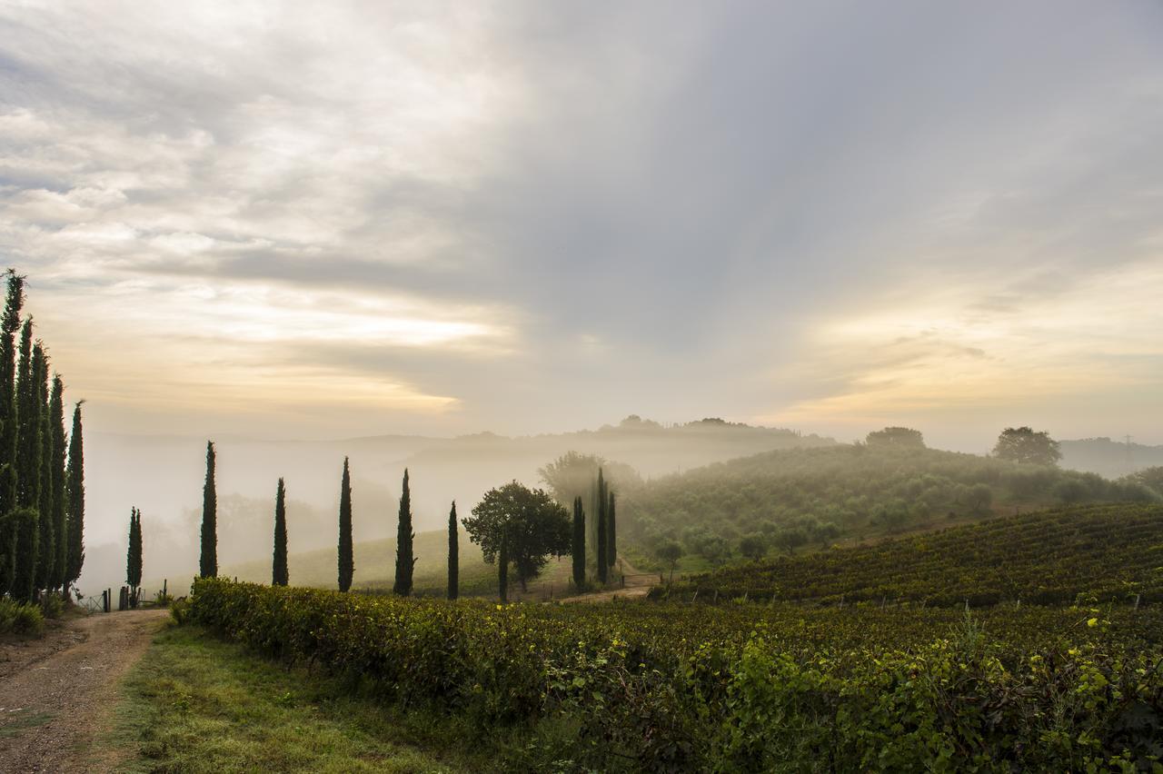 Agriturismo Poggio Corbello La Pesta Kültér fotó