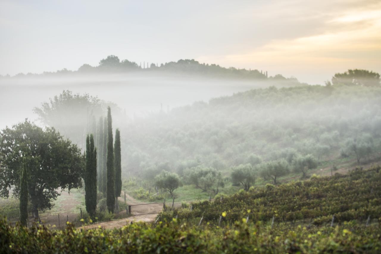 Agriturismo Poggio Corbello La Pesta Kültér fotó