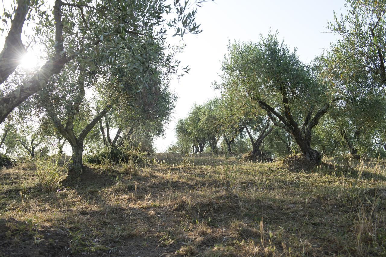 Agriturismo Poggio Corbello La Pesta Kültér fotó