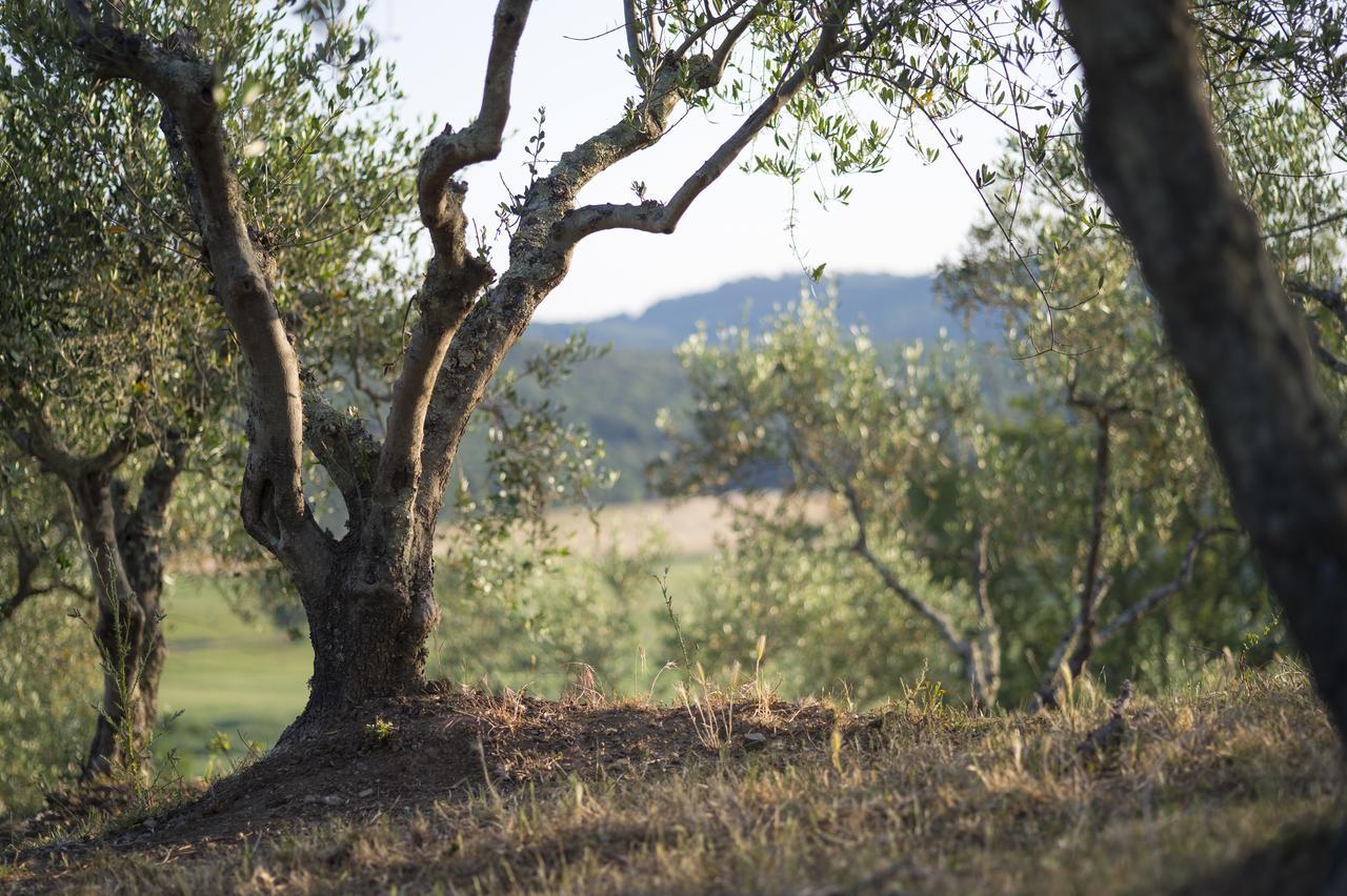 Agriturismo Poggio Corbello La Pesta Kültér fotó
