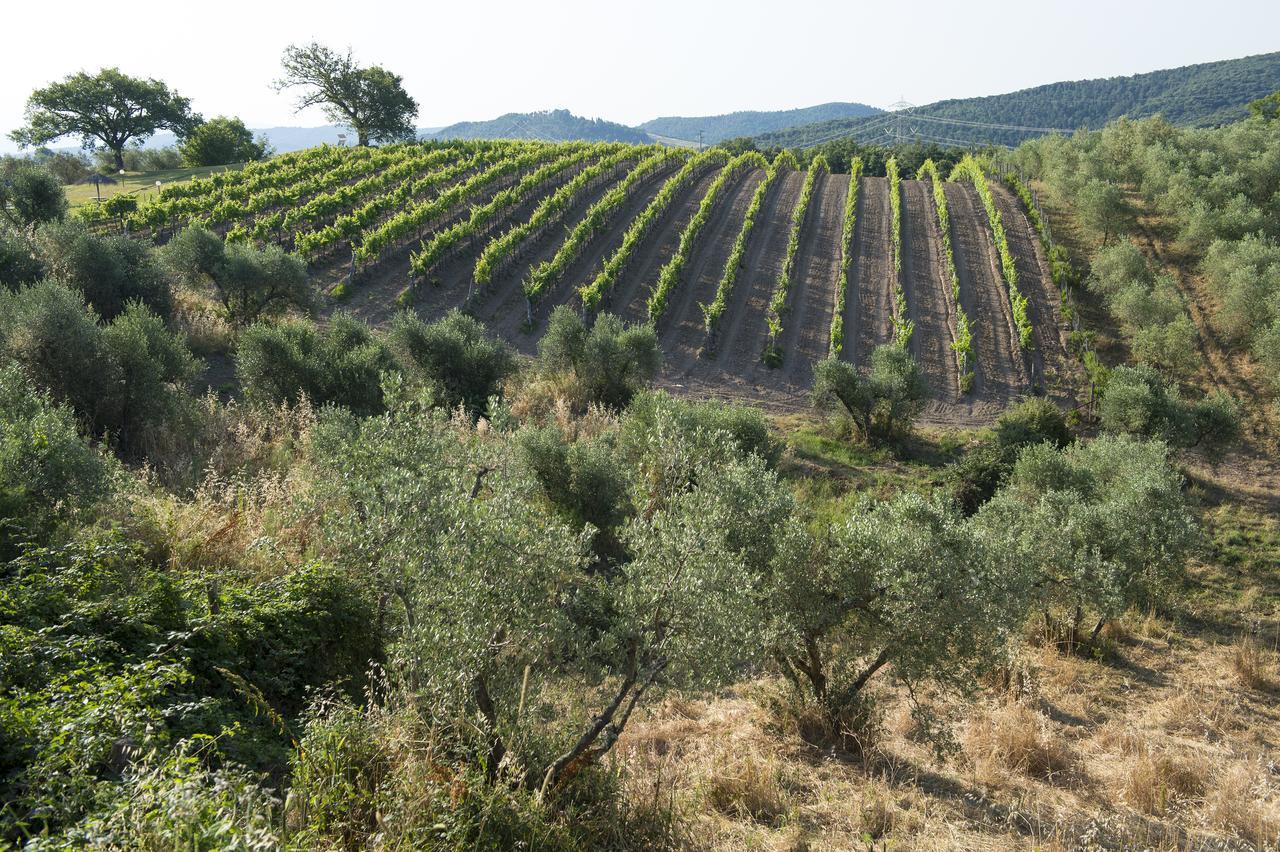 Agriturismo Poggio Corbello La Pesta Kültér fotó