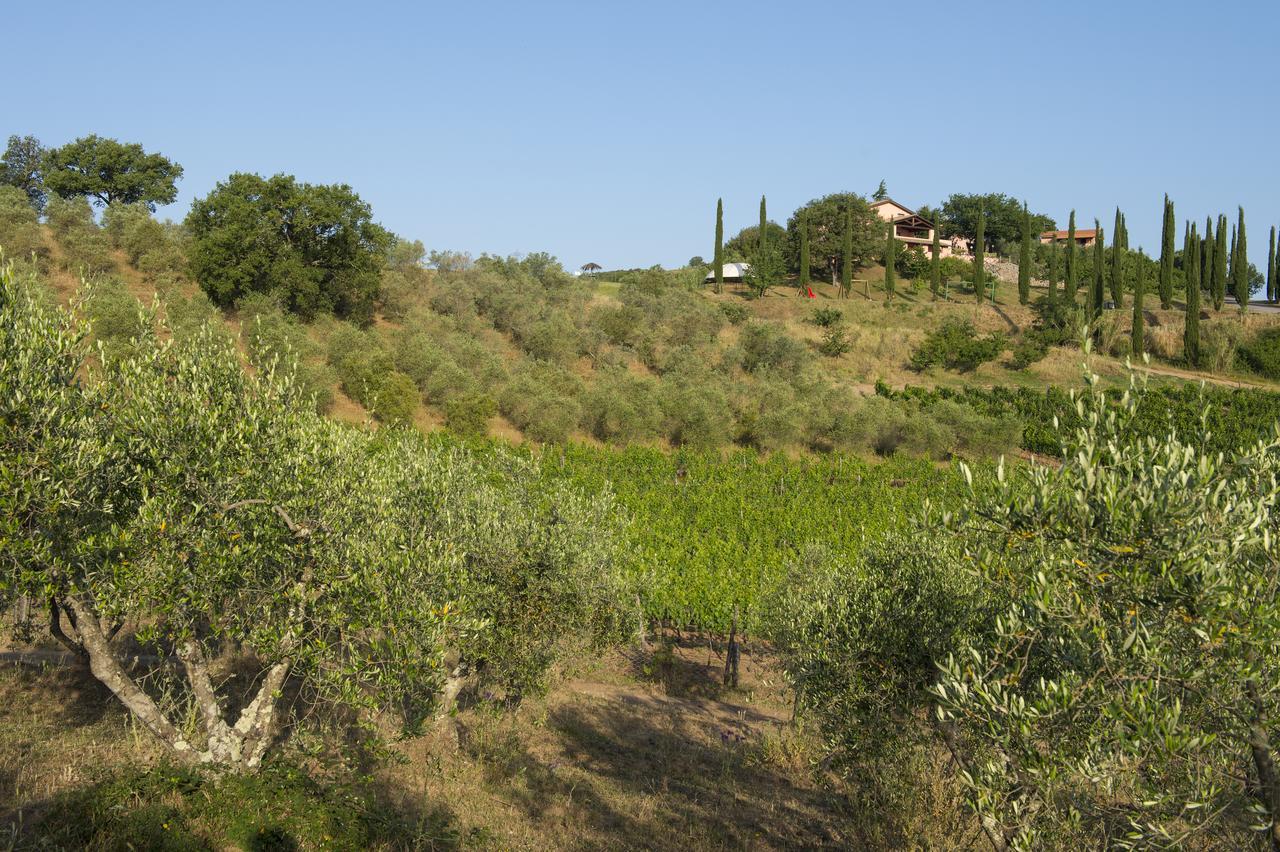 Agriturismo Poggio Corbello La Pesta Kültér fotó