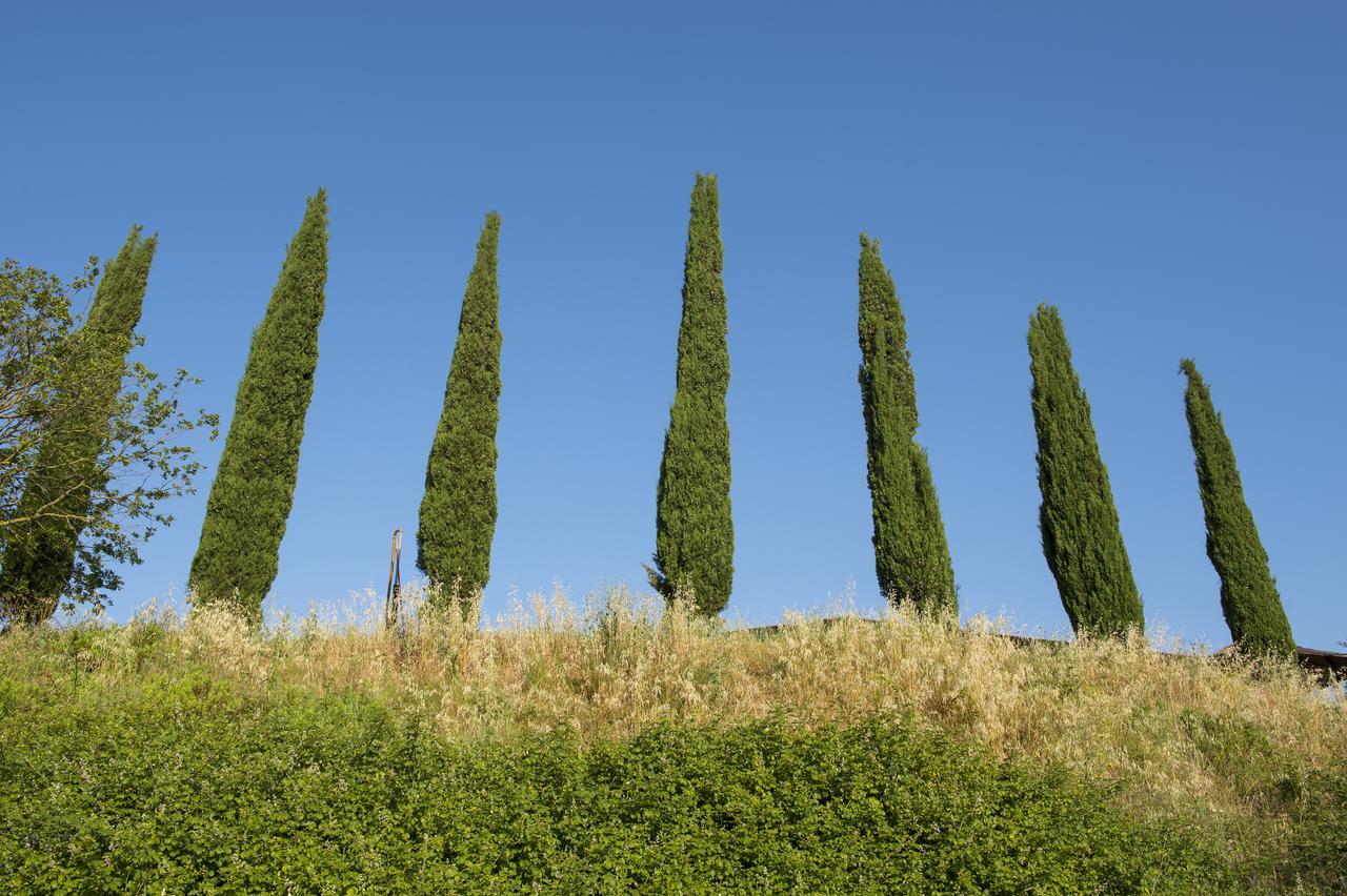 Agriturismo Poggio Corbello La Pesta Kültér fotó